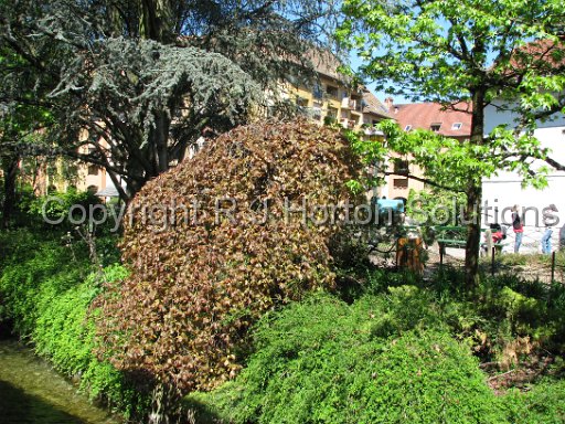 Annecy 25